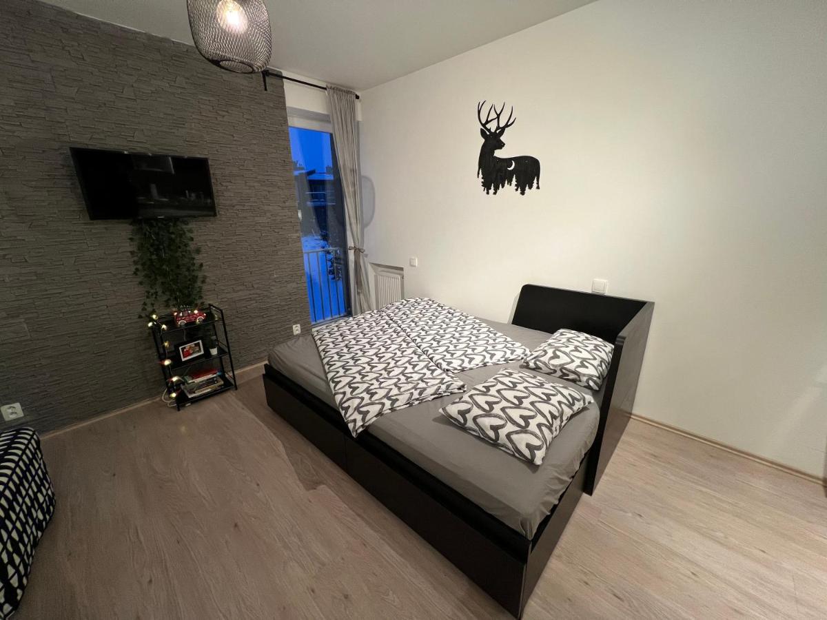 New Nelis Apartment Klinovec Лоучна-под-Кліновцем Екстер'єр фото